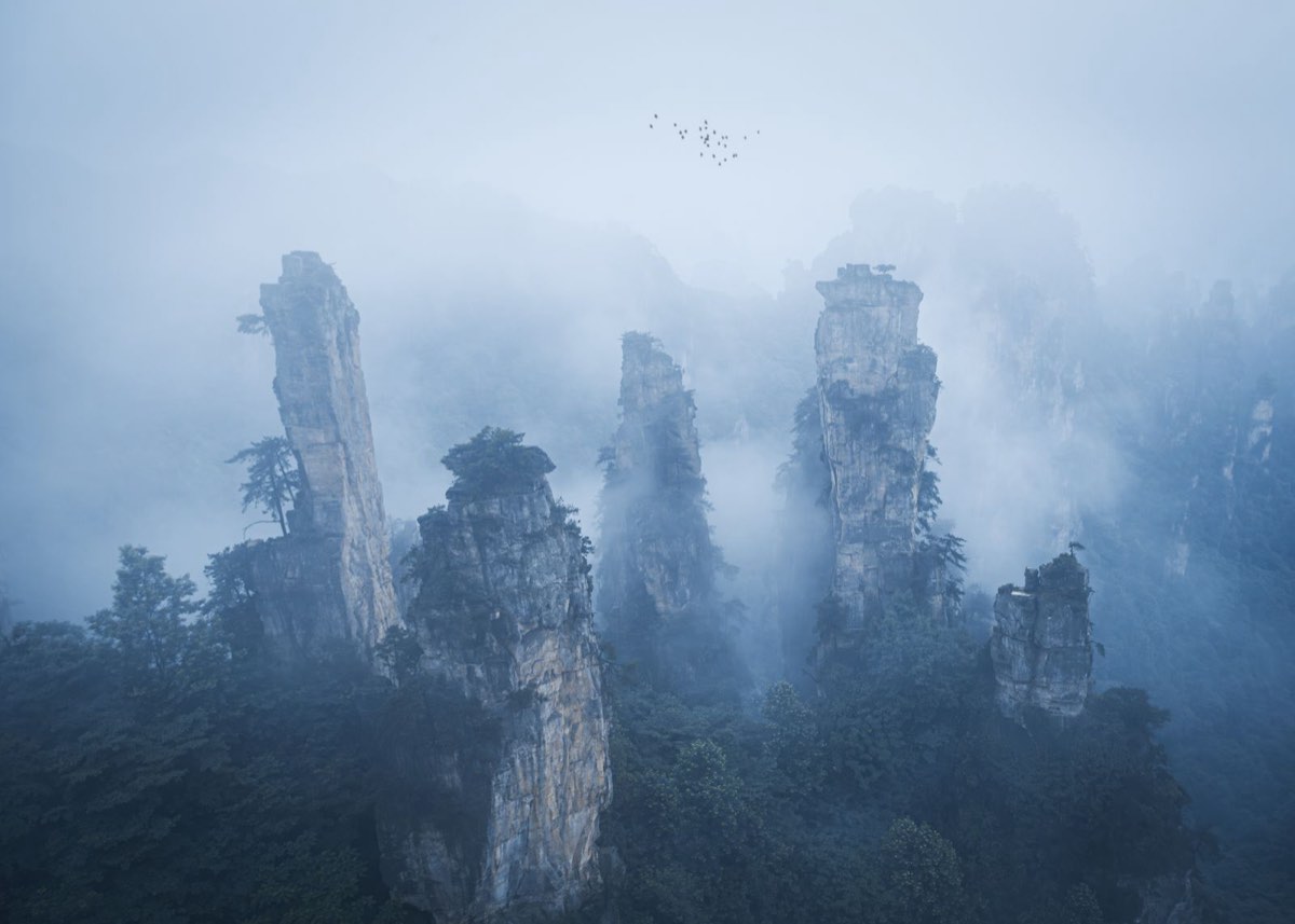 黎明时分，晨雾在张家界砂岩峰林间流动
